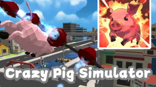 Crazy Pig Simulator